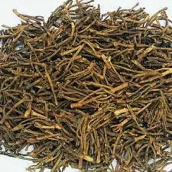  Fresh Clove Stem